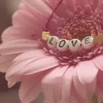 Idee regalo per la festa della mamma