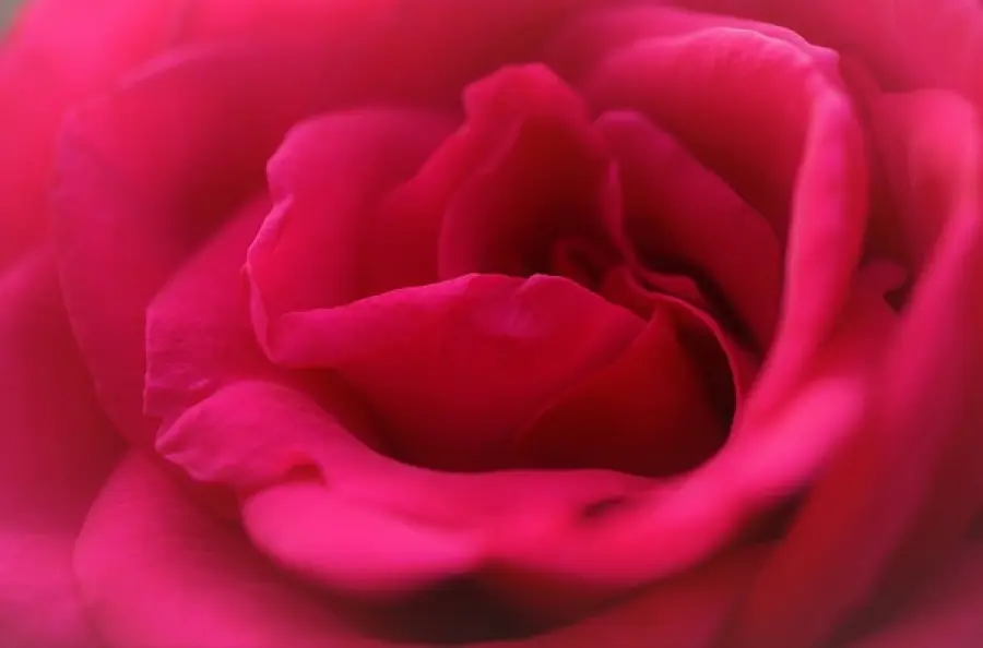 Corsi di seduzione: un trend in grande crescita