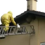 Benevento: allarme calabroni,  decine di chiamate al centralino dei vigili del fuoco