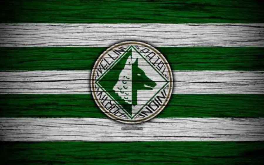 Avellino esclusa dalla Serie B, adesso è ufficiale