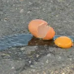 Uova contro un presidio di lavoratori: denunciati cinque ragazzi ad Avellino