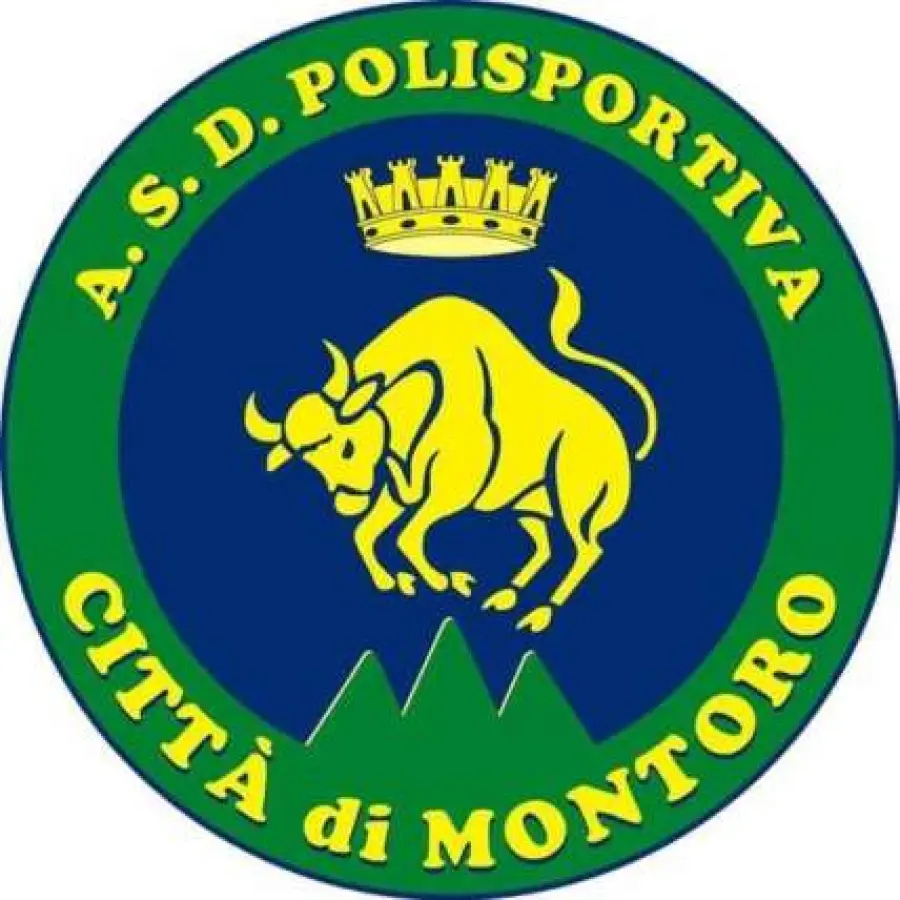 Volley Emilio Vietri Montoro, la promozione è a un passo!