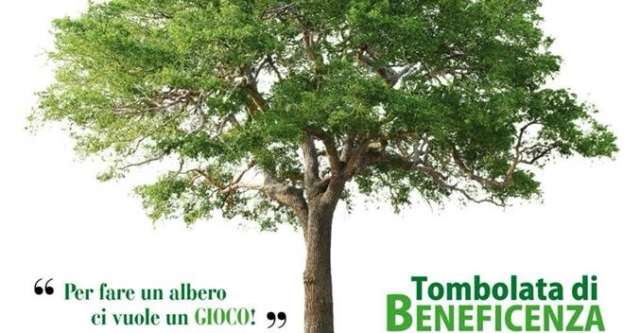 Con il Forum dei Giovani di Montoro “Per fare un albero ci vuole un GIOCO!”