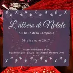 Montoro, Estro e Creatività per l’Albero alternativo più bello della Campania