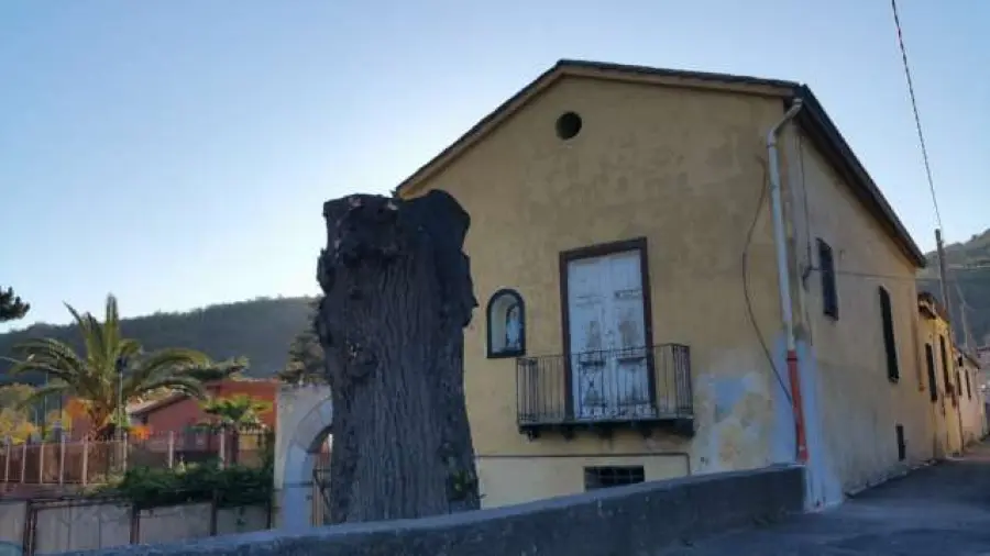 Montoro, Figlioli e la diatriba sul Tiglio