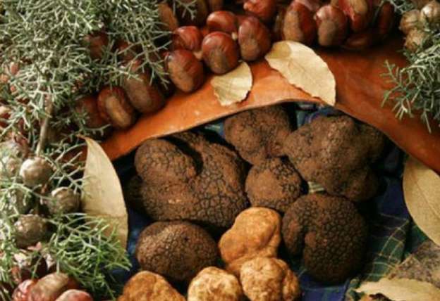 Il Nero di Bagnoli Irpino: fine settimana dedicato a tartufi e castagne