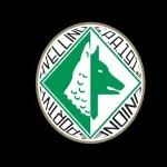 Vis Artena-Avellino risultato finale, marcatori e prossimo turno
