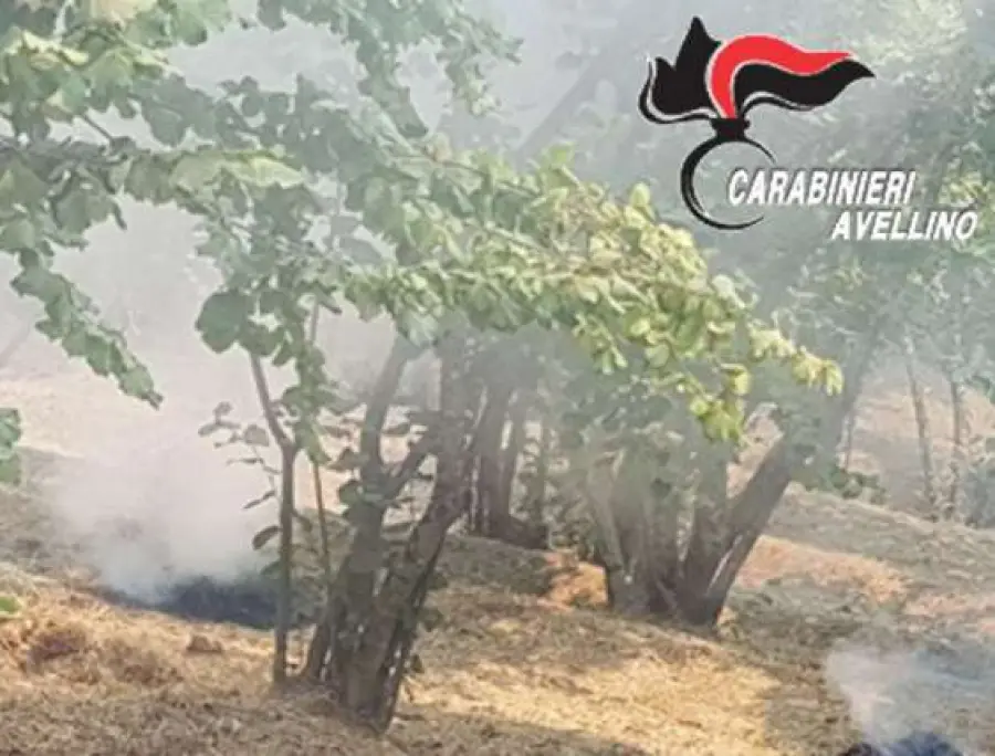 Contrada, nuovi incendi agricoli illegali: nei guai tre agricoltori del posto