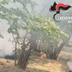 Contrada, nuovi incendi agricoli illegali: nei guai tre agricoltori del posto