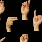 L'EDP di Avellino, organizza il I incontro gratuito per interpreti LIS