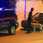 Montoro, in casa una coltivazione di Marjuana e munizioni: coppia finisce nei guai