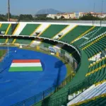 Serie B: l'U. S. Avellino e il Comune trovano l'intesa. I lupi restano a casa