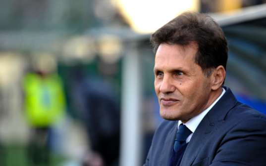 Avellino Calcio | Novellino-bis: 