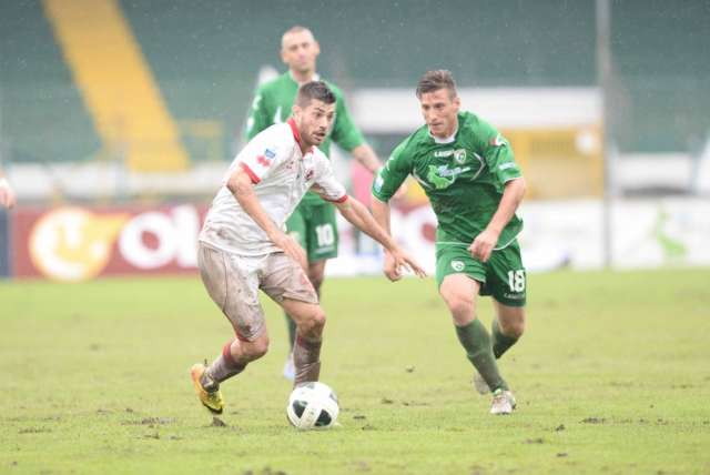 Avellino-Bari, i convocati: Novellino senza 5 calciatori, a Colantuono ne mancano 10