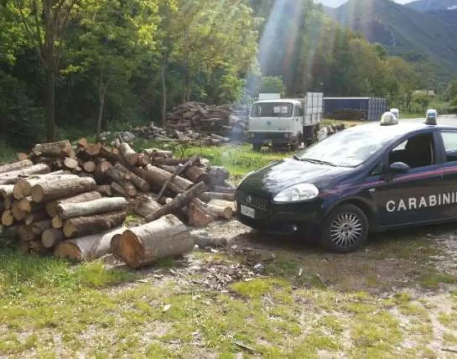 Montoro, sorpresi a rubare legna nel bosco: nei guai tre uomini