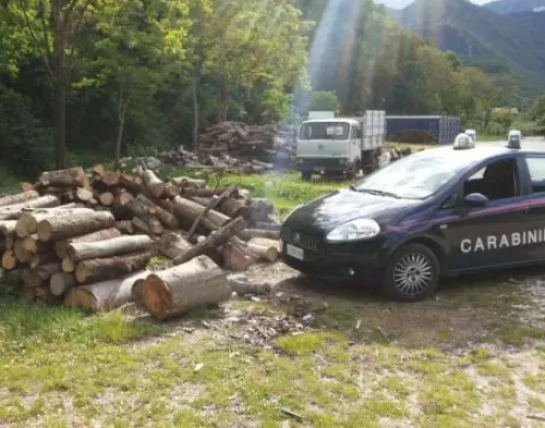 Montoro, sorpresi a rubare legna nel bosco: nei guai tre uomini