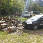Montoro, sorpresi a rubare legna nel bosco: nei guai tre uomini