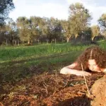 Solofra, Enzo Marangelo curerà un laboratorio teatrale per il Napoli Teatro Festival