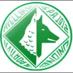 I bambini motore del cuore Biancoverde