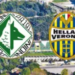 Avellino-Verona, i convocati: Novellino ritrova Castaldo, Pecchia perde un attaccante