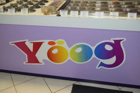 Tra yogurt e poesia: Allo yoog di Solofra rivive la cultura irpina