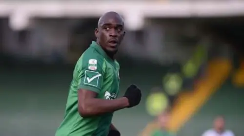 Calciomercato Avellino. Gucher in prestito fino a Giugno. Mokulu ultimo allenamento