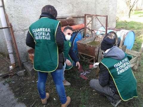 Fare ambiente e Guardie a tutela del territorio: Scoperti residui di amianto