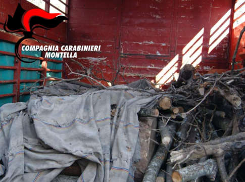 Danneggiano bosco e rubano legname, denunciati due fratelli di Calabritto