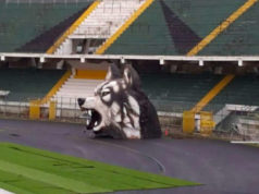 Avellino calcio, la testa di Lupo ostacola la visuale: spostata sotto la Nord