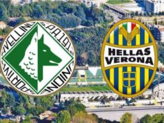Avellino-Verona, i convocati: Novellino ritrova Castaldo, Pecchia perde un attaccante