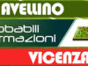 Probabili formazioni Avellino-Vicenza