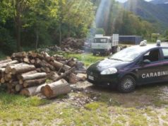 Montoro, sorpresi a rubare legna nel bosco: nei guai tre uomini