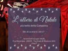 Montoro, Estro e Creatività per l’Albero alternativo più bello della Campania
