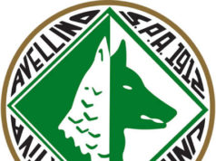 U.S. Avellino, il comunicato: noi parte lesa U.S. Avellino, il comunicato: noi parte lesa